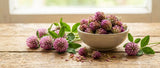 Rich in Antioxidants